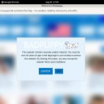 Accounts On Badpuppy.com