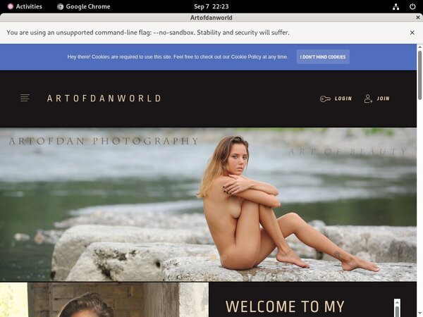 Artofdanworld.com Hd Sex Videos