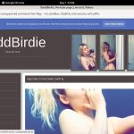 BaddBirdie Free Access BaddBirdie Free Access