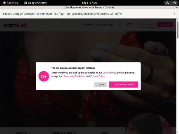 Camlust.com Premium Accounts