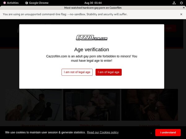 Cazzo Accept Pay Pal