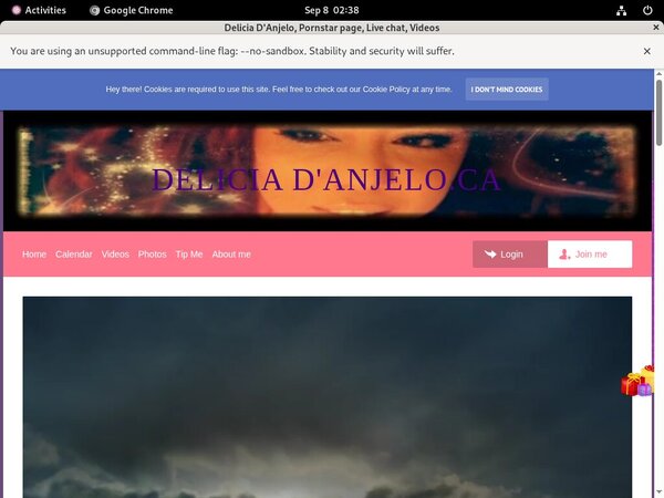 D'anjelodelicia Register