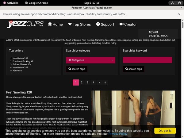Femdom Austria Lingerie