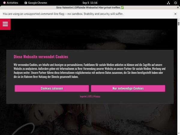 Free Logins De Sina-valentini