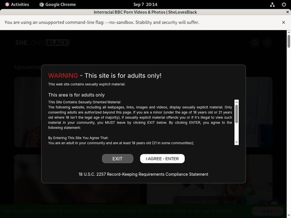 Free Shelovesblack Hacked Passwords Free Shelovesblack Hacked Passwords