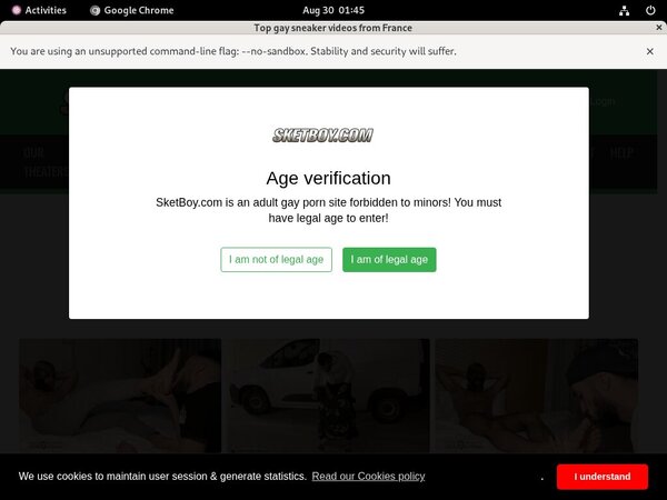 Free Sket Boy Id And Password Free Sket Boy Id And Password