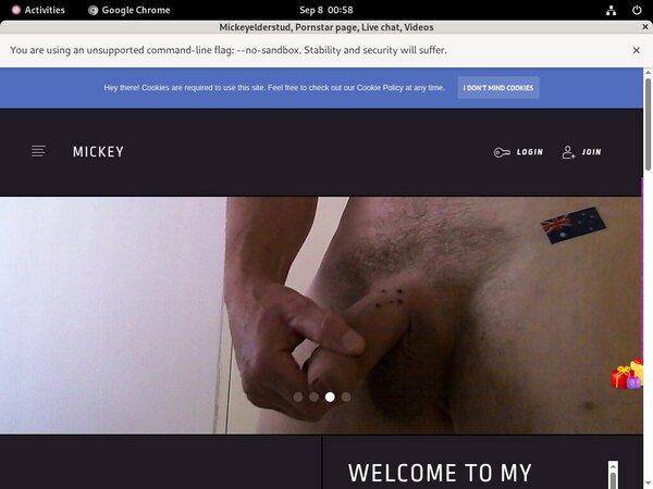 Free User For Mickeyelderstud.modelcentro.com