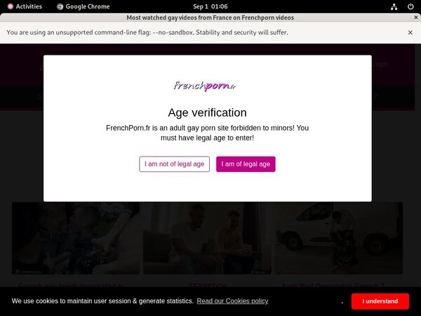 French Porn Gay Sign Up Again