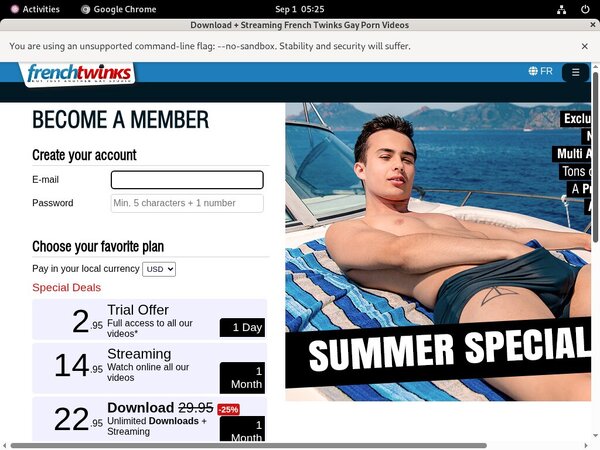 French-twinks.com Paysafecard