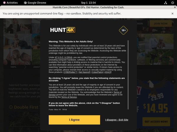 Hunt 4k Passwords