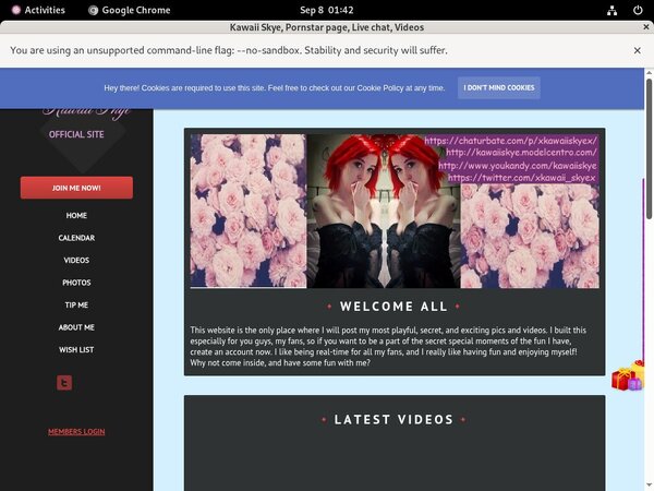 Kawaii Skye Free Acounts