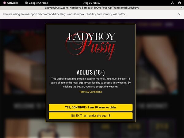 Ladyboy Pussy Site Review