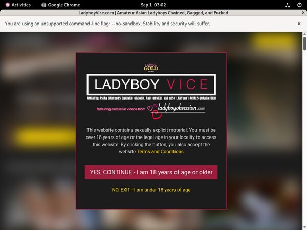 Ladyboyvice.com Tranny