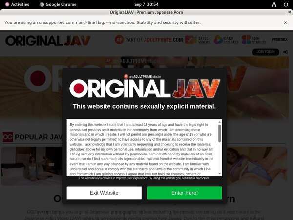 Original JAV Deal Offer