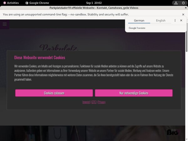 Parkplatzluder19.com Without Paying