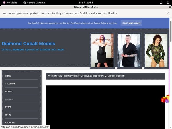 Password For Diamonddivamodels.com Password For Diamonddivamodels.com