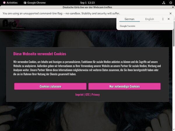 Password To Lana Giselle