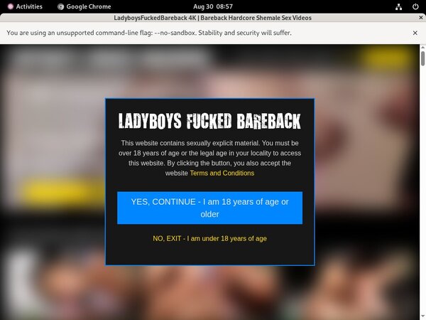 Redtube Ladyboysfuckedbareback