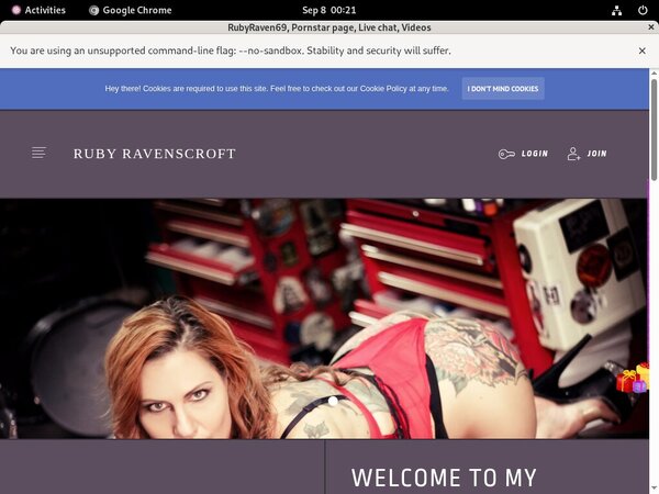 Rubyraven69.modelcentro.com Pasword