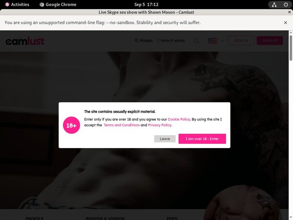 ShawnMason Free Accounts And Passwords