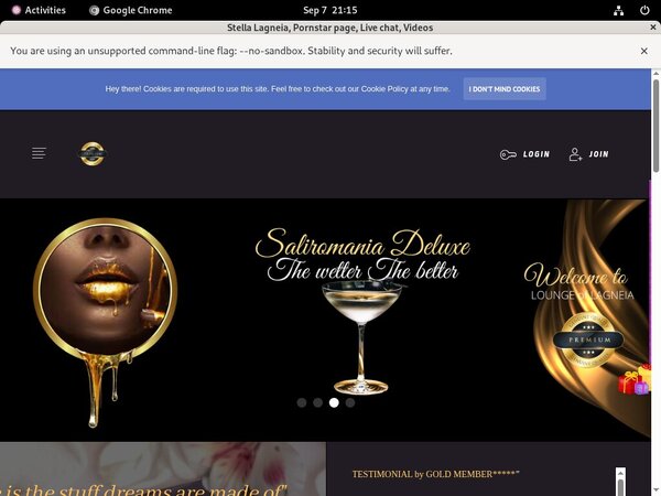 Stella Lagneia With IBAN / BIC