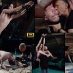 Subspace Land Bill.ccbill.com Subspace Land Bill.ccbill.com