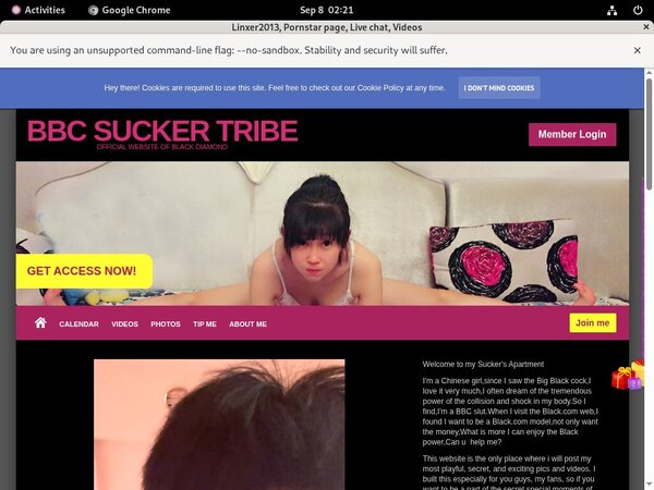 Free Linxer2013.modelcentro.com Membership Discount