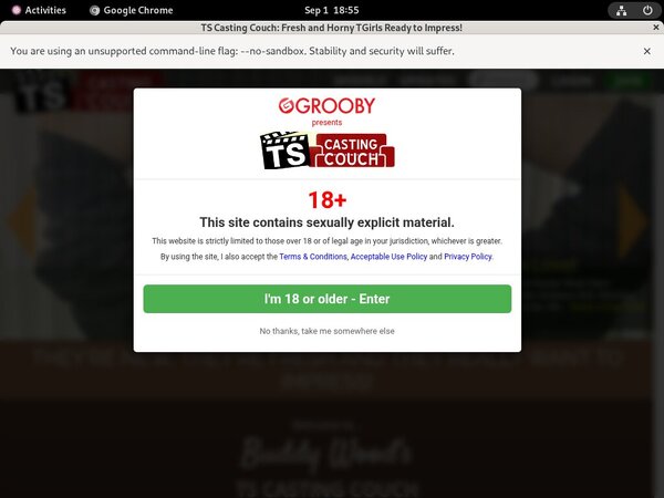 Free Ts-castingcouch.com Account And Password