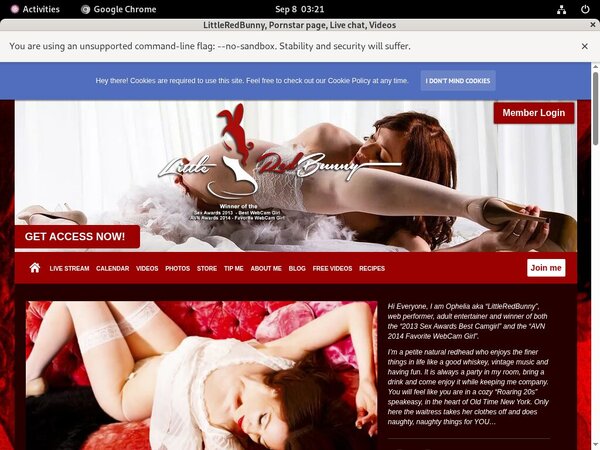 Free LittleRedBunny Premium Acc
